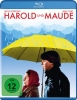 Harold und Maude (Abverkauf)
